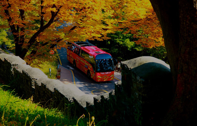 Seoul City Tour Bus
